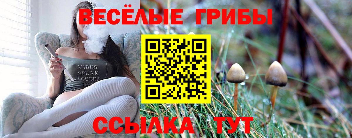 магазин    Вход с VPN  Екатеринбург  Псилоцибиновые грибы Magic Shrooms 
