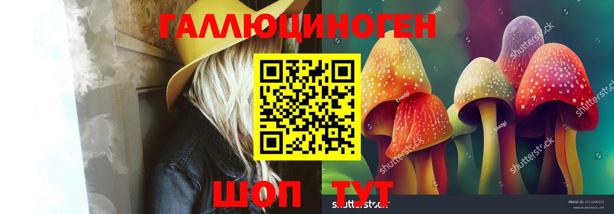 Галлюциногенные грибы Psilocybe Екатеринбург